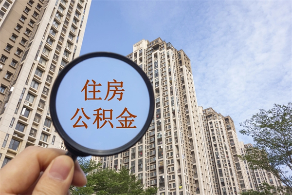焦作公积金新政今起实施（焦作公积金新政出台）